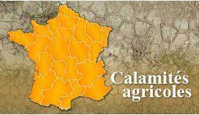  Sécheresse 2022 :Reconnaissance au titre des calamités agricoles