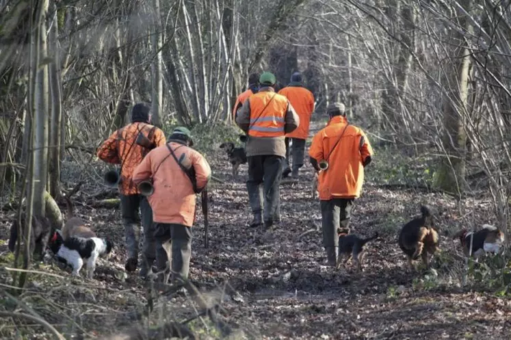 Un dimanche à la chasse